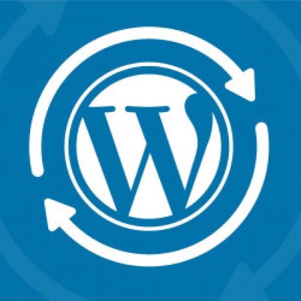 Wordpress plugin